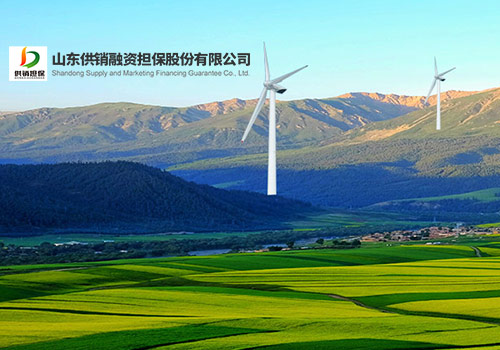 山東供銷(xiāo)融資擔(dān)保股份有限公司